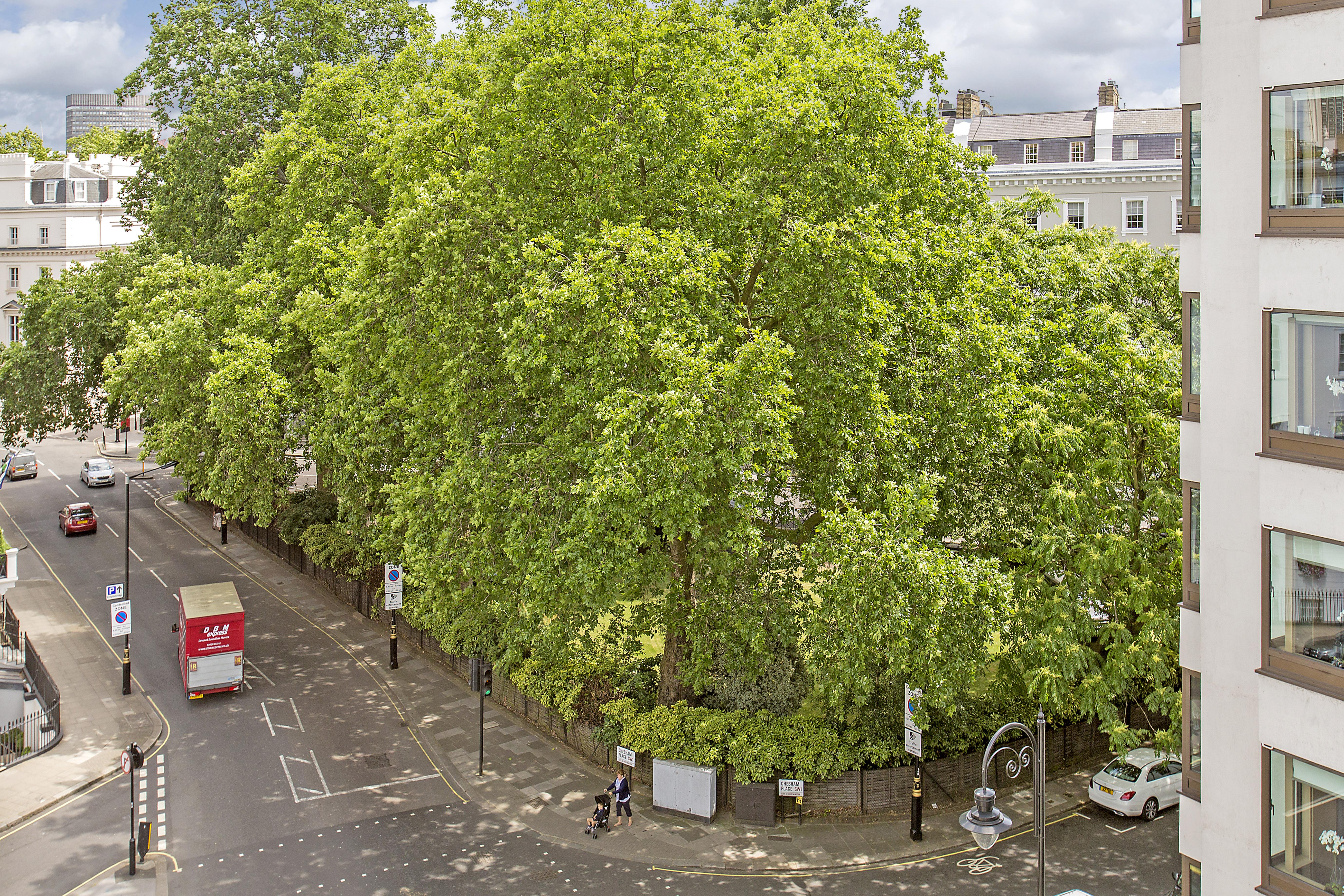 Chesham Court Knightsbridge Aparthotel Londres Exterior foto